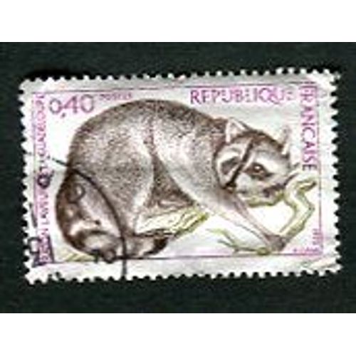 Timbre Oblitéré - " Raton Laveur De Guadeloupe " - 0,40f - Cami - 1973