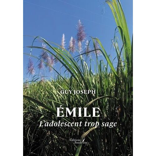 Emile - L'adolescent Trop Sage
