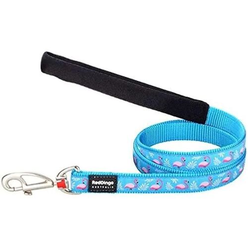 Laisse Pour Chien - Red Dingo - Flamant Rose Turquoise - 20 Mm X 1,2 M - Nylon Résistant - Taille M