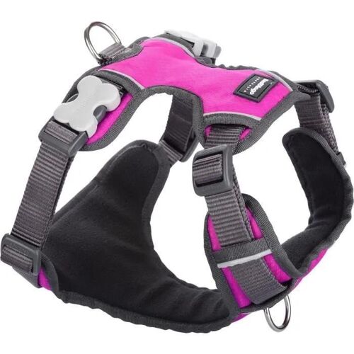 Harnais Pour Chien - Red Dingo - Rose - Rembourré - Taille T1 - Sécurisé Avec Bandes Réfléchissantes