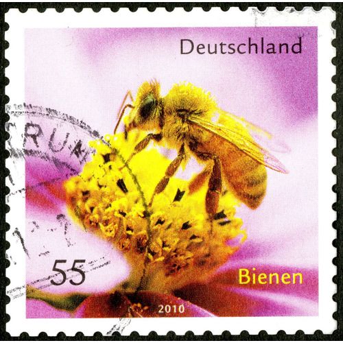 Timbre Oblitéré Deutschland, Bienen, 2010, 55