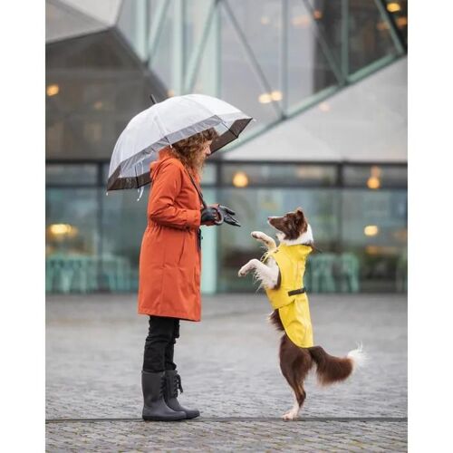Imperméable Pour Chien Trixie Vimy
