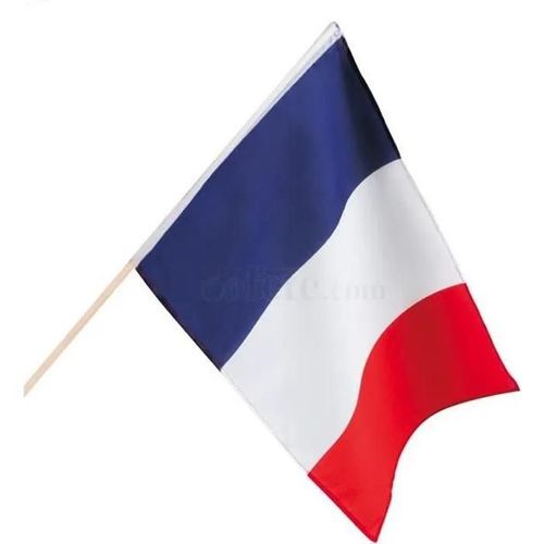 Drapeau france (30 x 45 cm)