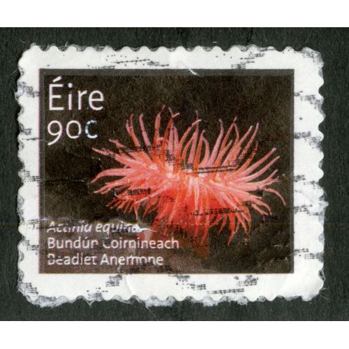 Timbre Oblitéré Eire, Deadlet Anemone, 90 C
