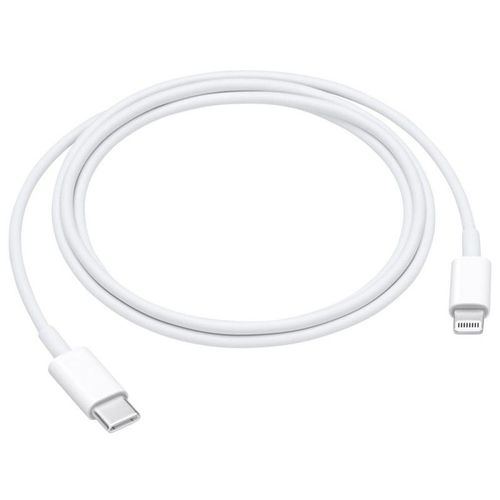 Câble Apple Lightning Vers USB-C 1m Original