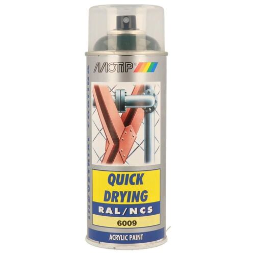 Peinture vert brillant RAL6009 400ml