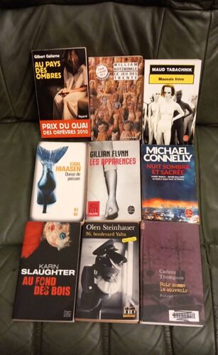 Thriller Policier Lot De 9 Livres. Gallérne, Kotzwinkle,  Tabachnik, Hiaasen, Flynn, Connelly, Slaughter, Steinhauer, Thompson.