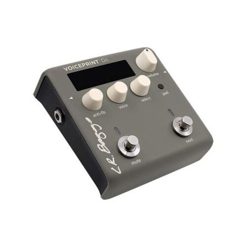 LR BAGGS - VOICEPRINT - DI acoustique avec technologie Voice Print