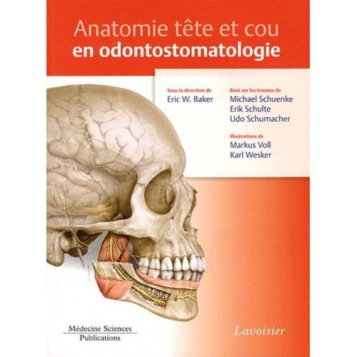 Anatomie Tête Et Cou En Odontostomatologie