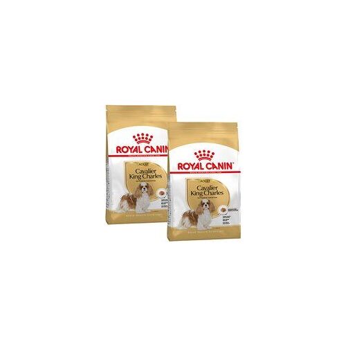 Royal Canin Cavalier King Charles Adulte Croquettes Chien 2x1,5 Kg