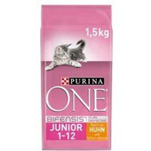 Purina One Croquettes Chat Junior Riche En Poulet Et Céréales Complètes 6 X 1,5 Kg