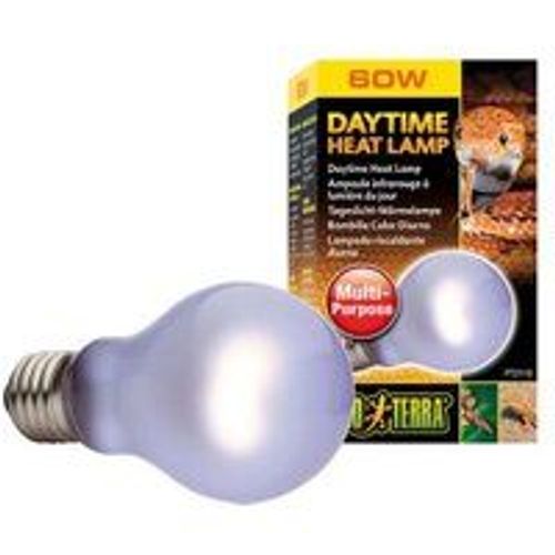 Exo Terra Day Glo Sg A19/60 W
