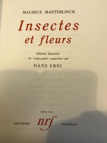 Insectes Et Fleurs