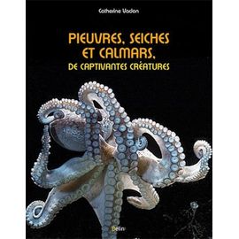 Pieuvres, Seiches Et Calmars, De Captivantes Créatures