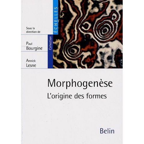 Morphogenèse - L'origine Des Formes