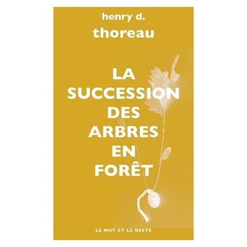 La Succession Des Arbres En Forêt