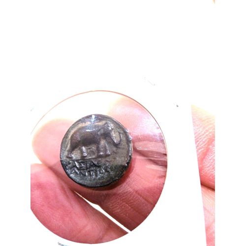 Seleukid Antiochos Iii « Le Grand » Æ 18 Mm. Pièce Grecque Éléphant Militaire Comme Neuf Certificat Authenticité.