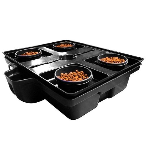 Système aéroponique DWC Pro 4 - pour 4 plantes - Platinium hydroponics