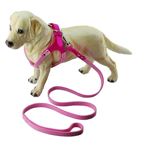 Lunettes En Microfibre Style Respirant Chien Sangle De Poitrine, Taille : L