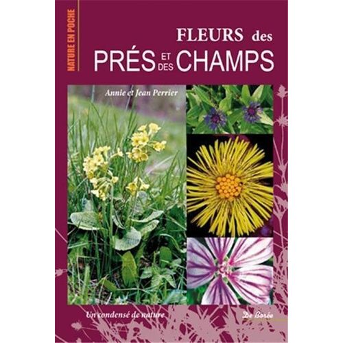 Fleurs Des Prés Et Des Champs