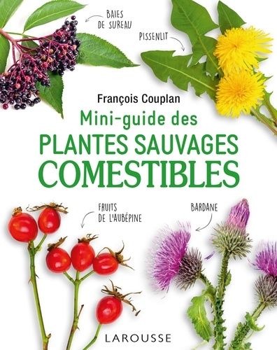 Mini-Guide Des Plantes Sauvages Comestibles