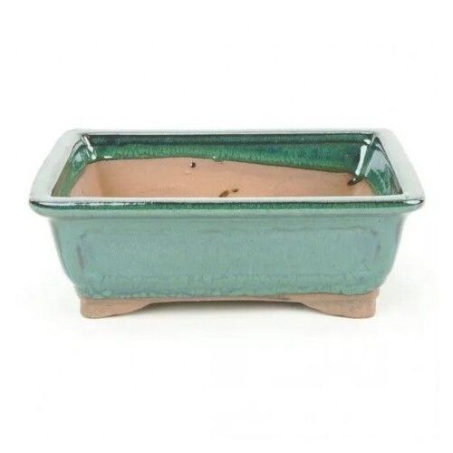 Pot Bonsaï Ceramica Verde N3 14x9 Cm