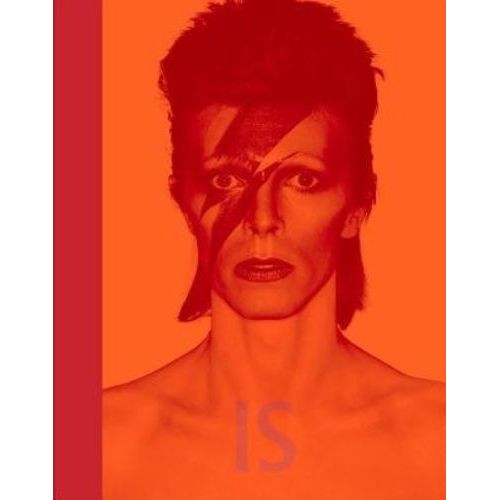 David Bowie Is Inside