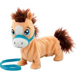 Goliath Pumpkin The Shetland Pony