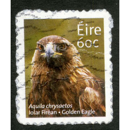 Timbre Oblitéré Eire, Aquila Chrysaetos, Lolar Firéan , Golden Eagle, 60 C