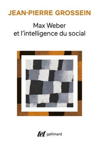 Max Weber Et L'intelligence Du Social