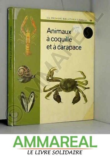 Animaux À Coquille Et À Carapace