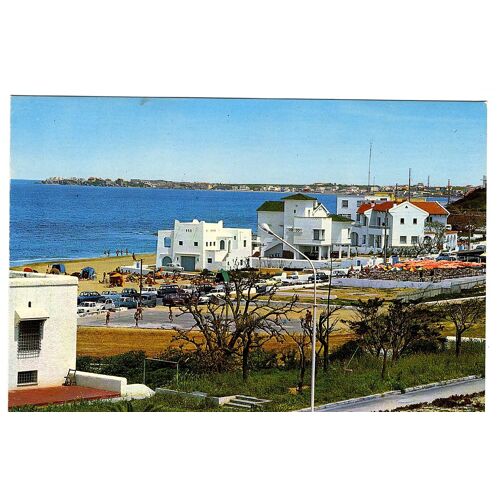 Les Plages D'alger-Staoueli. Club Des Pins