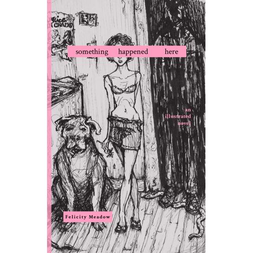 Something Happened Here: An Illustrated Novel