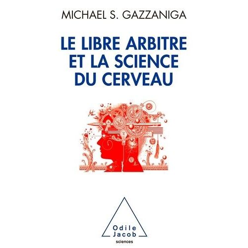 Le Libre Arbitre Et La Science Du Cerveau