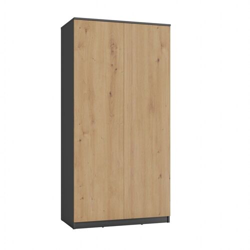 ESME - Armoire double style scandinave chambre à coucher - 90x50x180 - 2 portes - Dressing - Gris&Aspect bois