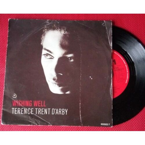 45 Tours Terence Trent D'arby "Wishing Well"
