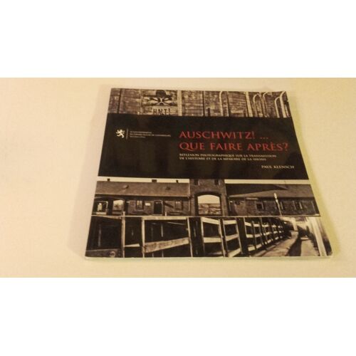 Auschwitz! ...Que Faire Apres? Reflexion Photographique Sur La Transmission De L Histoire Et De La Memoire De La Shoah