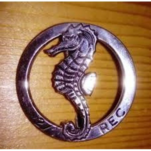 2ème Escadron Du 1er Rec - Insigne De Poitrine