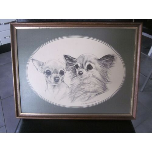 Tableau Reproduction Dessin De L'artiste Pollyanna Pickering Chihuahua Signe.