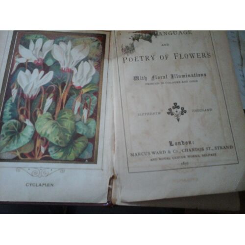 The Language And Petry Of Flowers