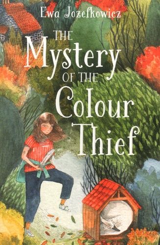 The Mystery Of The Colour Thief