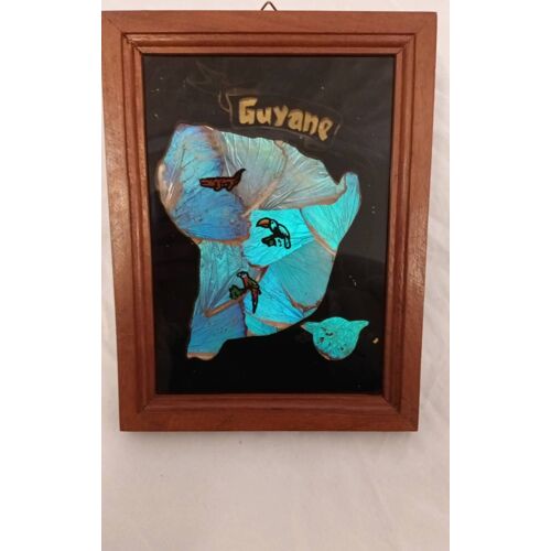 Tableau Ailes De Papillons Guyane