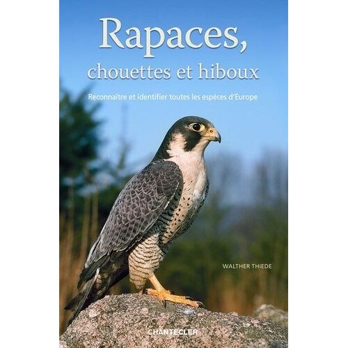 Rapaces, Chouettes Et Hiboux - Reconnaître Et Identifier Toutes Les Espèces D'europe