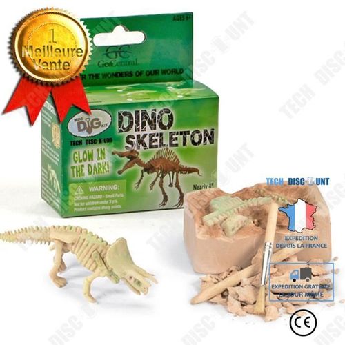 Td® Squelette Lumineux Dinosaure Jouets Éducatifs Éducatifs Simulation Jouets Archéologiques Pour Enfants Ensemble D'excavation