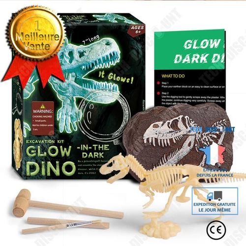 Td® Jouets Éducatifs D'excavation Archéologique De Fossile De Dinosaure De Bricolage Pour Enfants Tyrannosaurus Rex