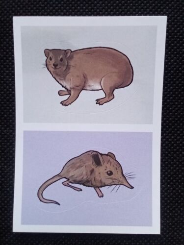 Animaux 2020 N°186 - Image Sticker Vignette Panini