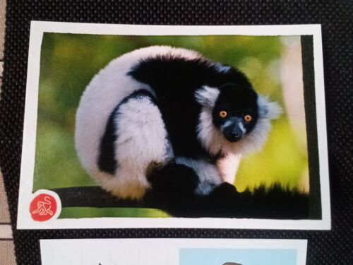 Animaux 2020 N°194 - Image Sticker Vignette Panini