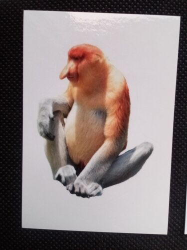 Animaux 2020 N°207 - Image Sticker Vignette Panini