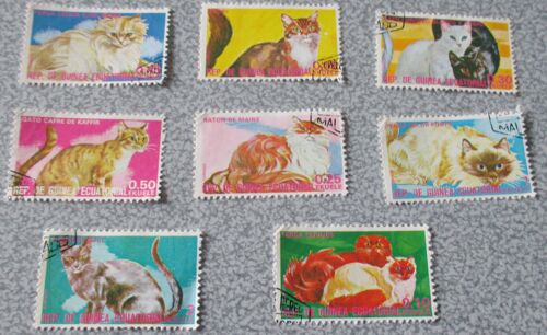 Lot Timbres Guinée Equatoriale Oblitérés- Série Chats 1975 : Tabby Roux/Persans/Maine Coon/Européen Noir Et Blanc/Persan Crème/Chat Sauvage/Persan Colourpoint/Burmese Bleu-38x28.5mm-Emission 6/12/1975
