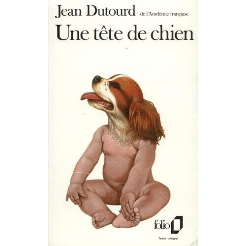 Une Tête De Chien